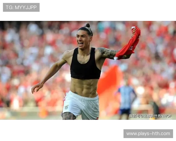 本菲卡准备购入英冠传控灵魂,开启欧洲赛场新征程